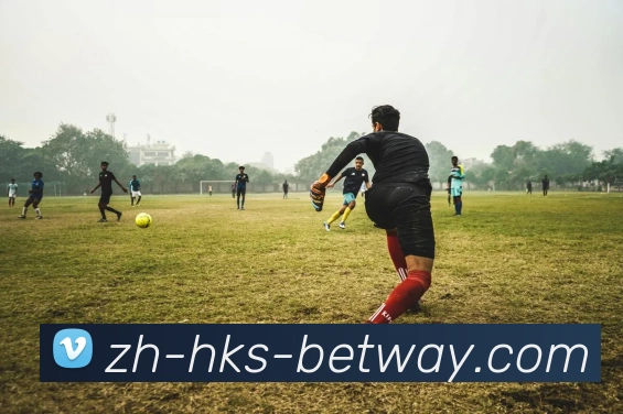 BETWAY必威官网APP 高清赛事图